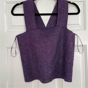 New House of Harlow 1960 x Revolve Metallic Stretchy Bodycon Fitted Crop Top